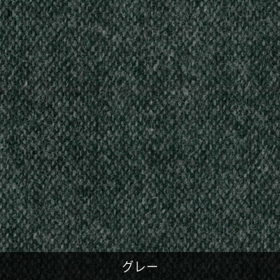 p^[I[_[ ~̃cB[hTCNE[ŃGRW[ɐȂ O[sH~ft