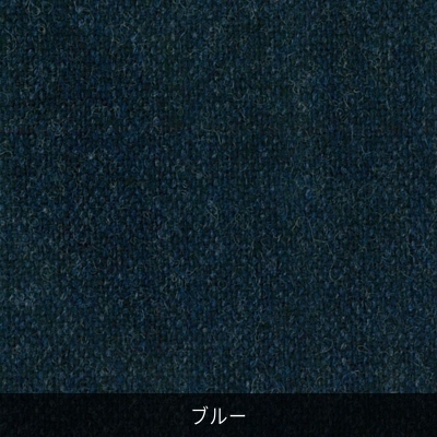 p^[I[_[ ~̃cB[hTCNE[ŃGRW[ɐȂ u[sH~ft