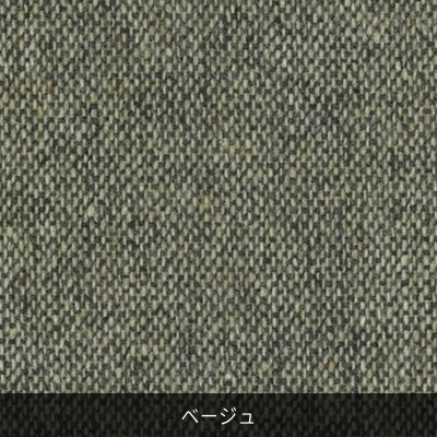p^[I[_[ ~̃cB[hTCNE[ŃGRW[ɐȂ x[WsH~ft