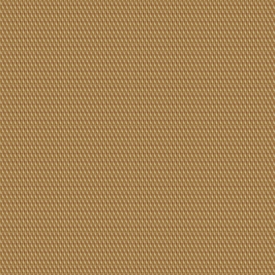 y25SS 75NLOI[_[ zpXgVu[@@stăft