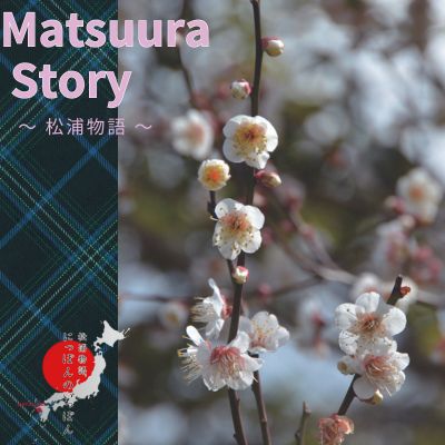 松浦物語｜Matusuura Story Spring 2024 No.9